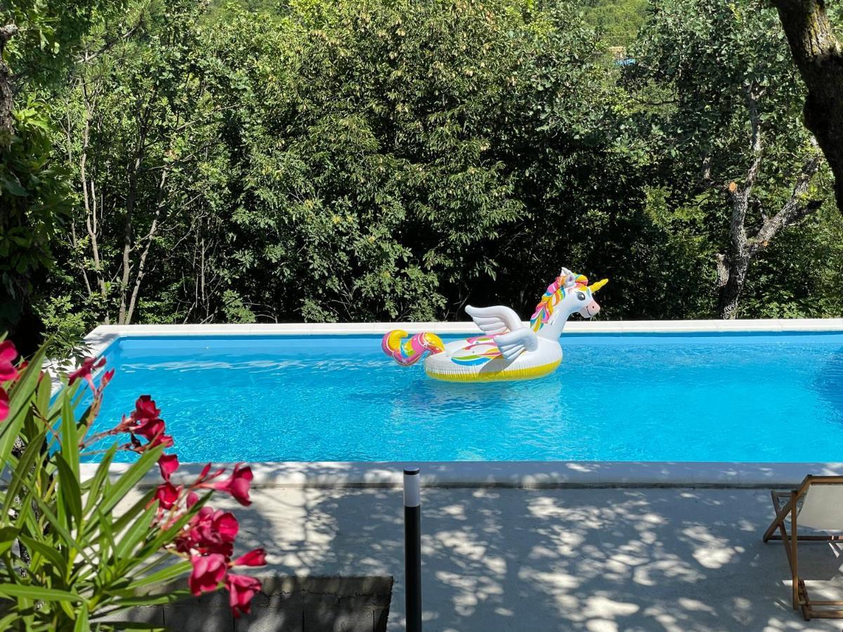 Holiday House Dunamis Krivodol المظهر الخارجي الصورة