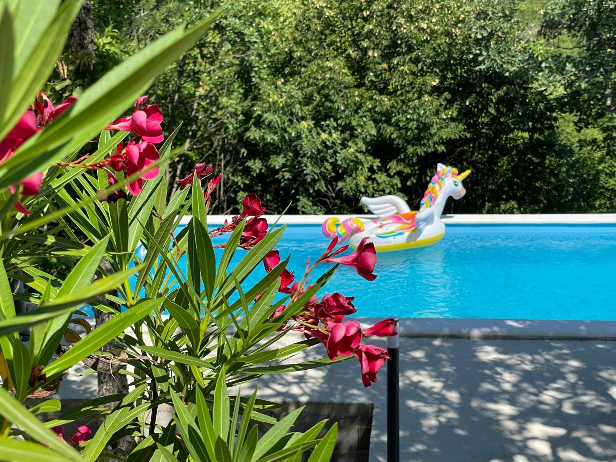 Holiday House Dunamis Krivodol المظهر الخارجي الصورة